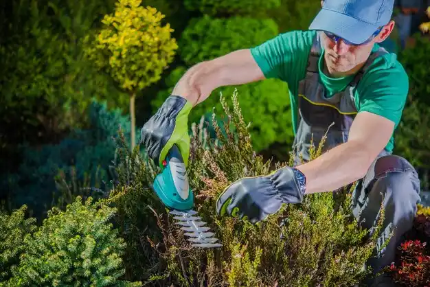 landscaping services Hillside Lake
